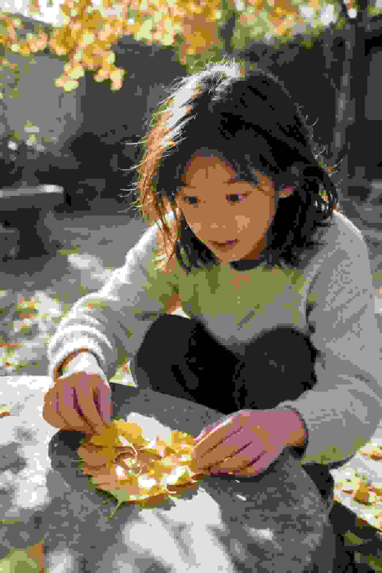 动画