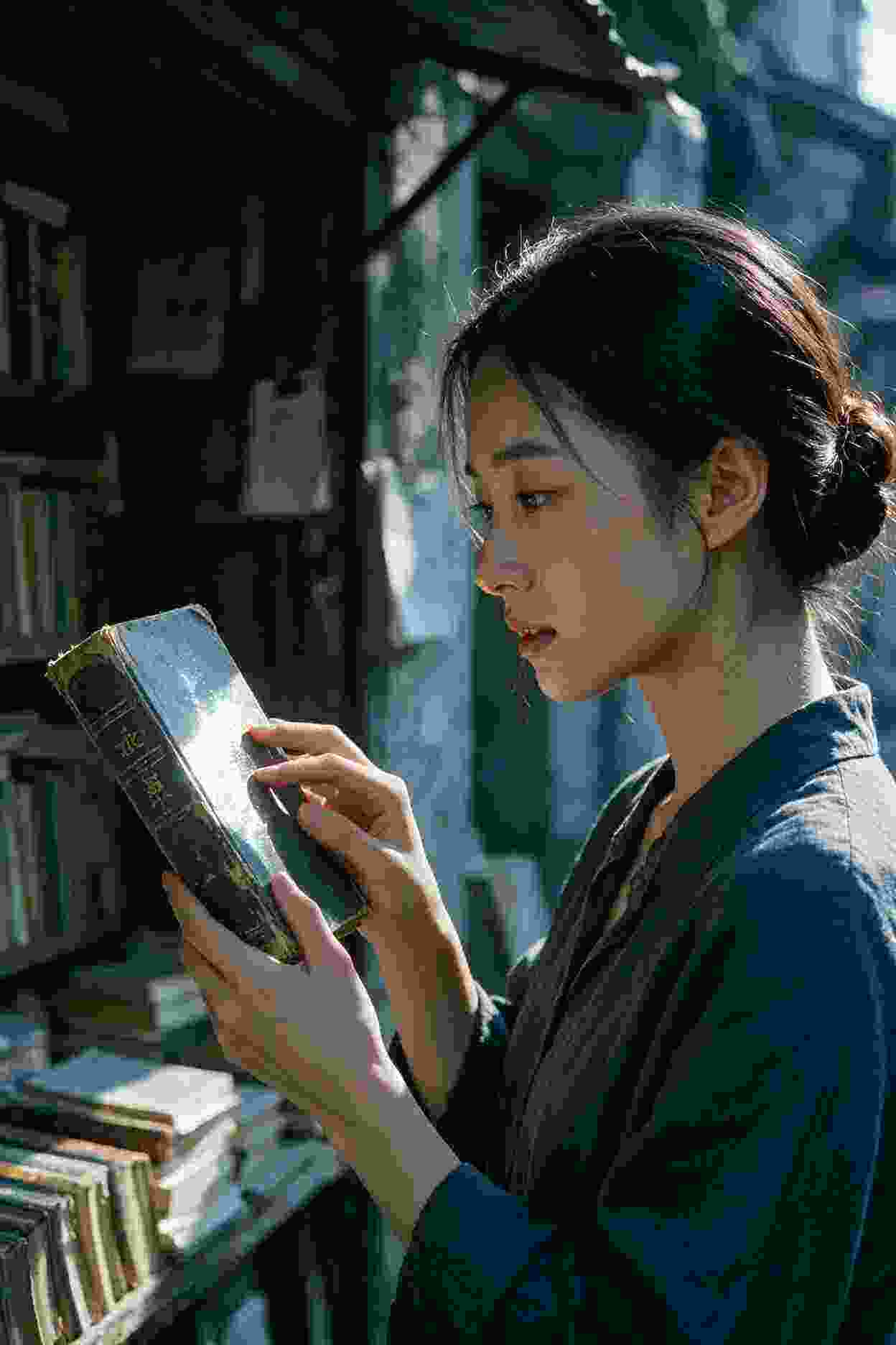 动画