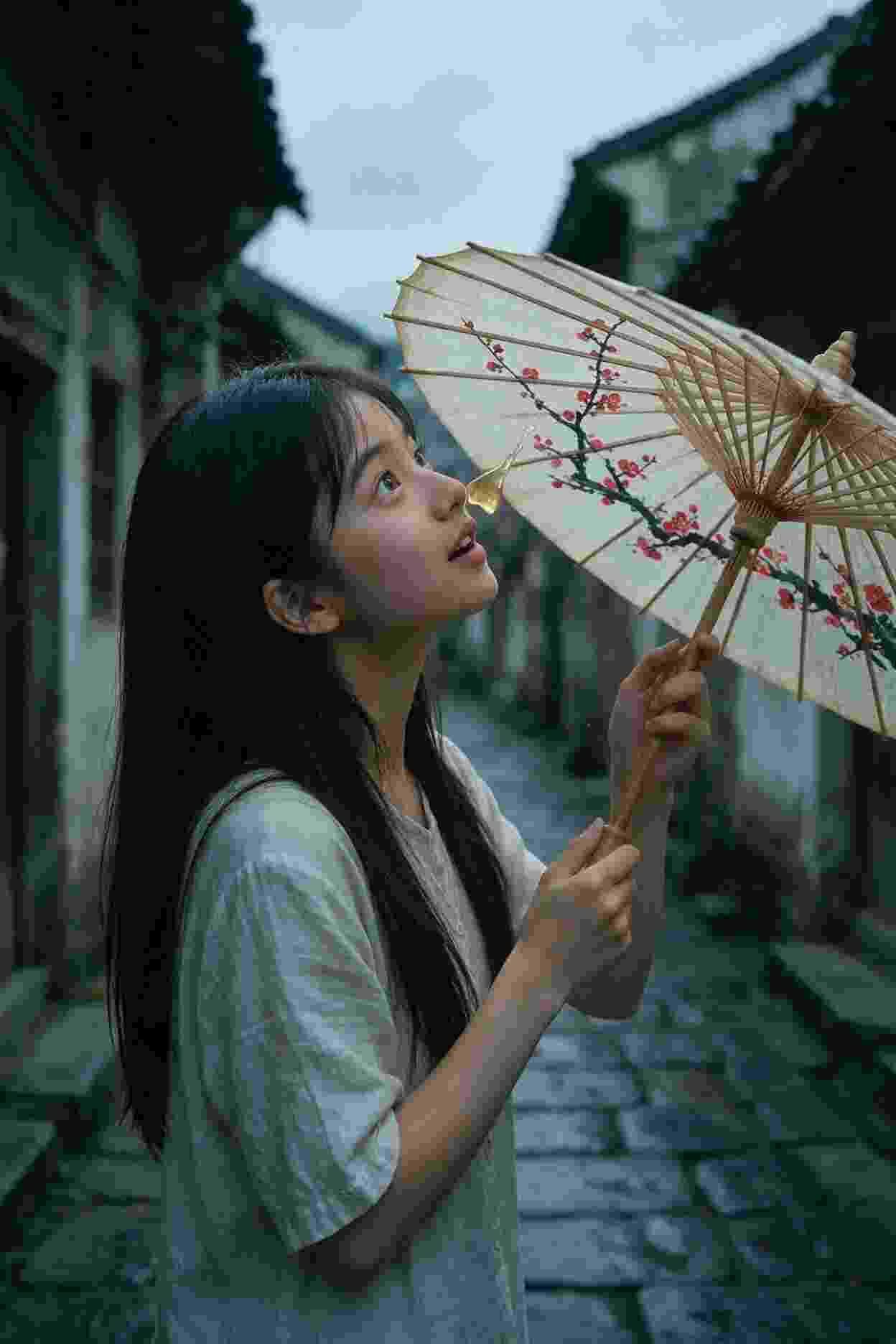 动画